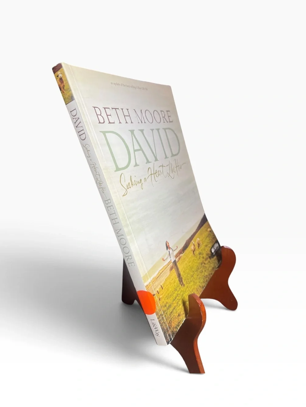 David - Bible Study Book Updated Edition: Seeking a Heart Like His by Beth Moore